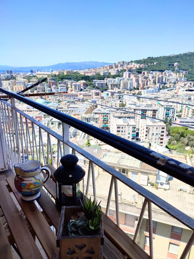 Donny Dude Panorama Genoa