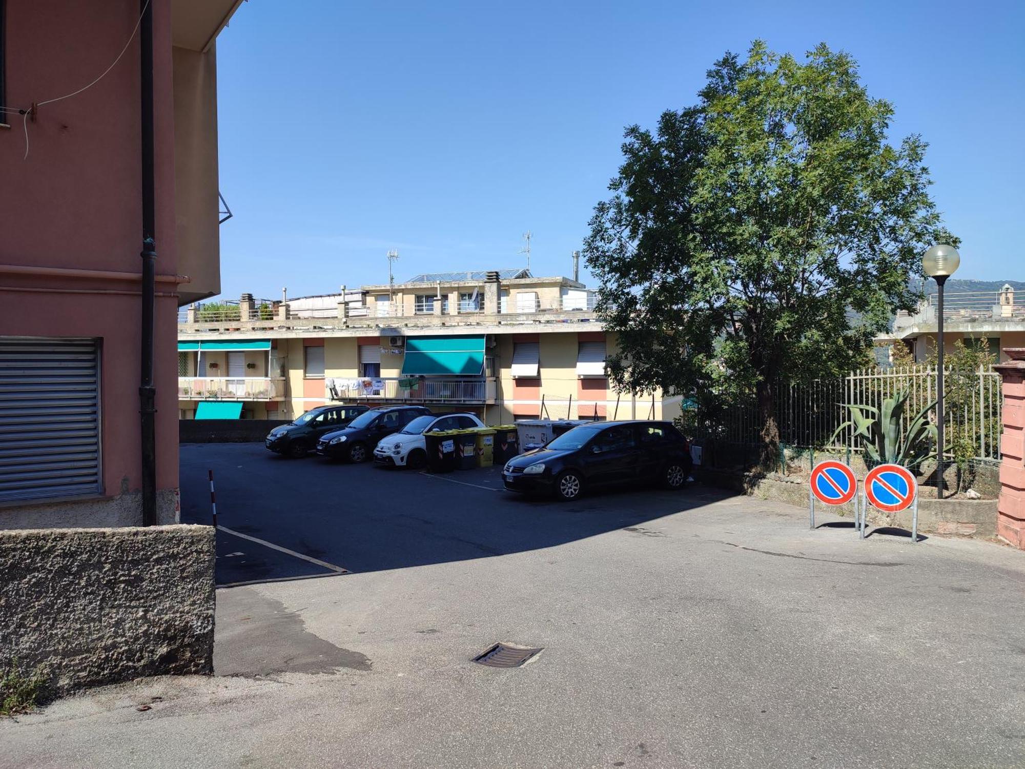Donny Dude Panorama